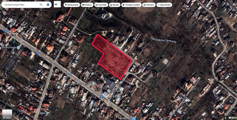 Paulesti, cel mai bun teren.