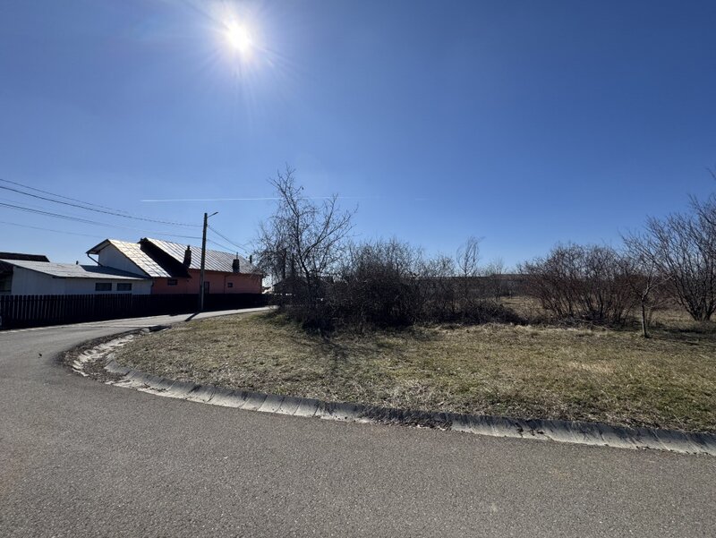 Paulesti, cel mai bun teren.