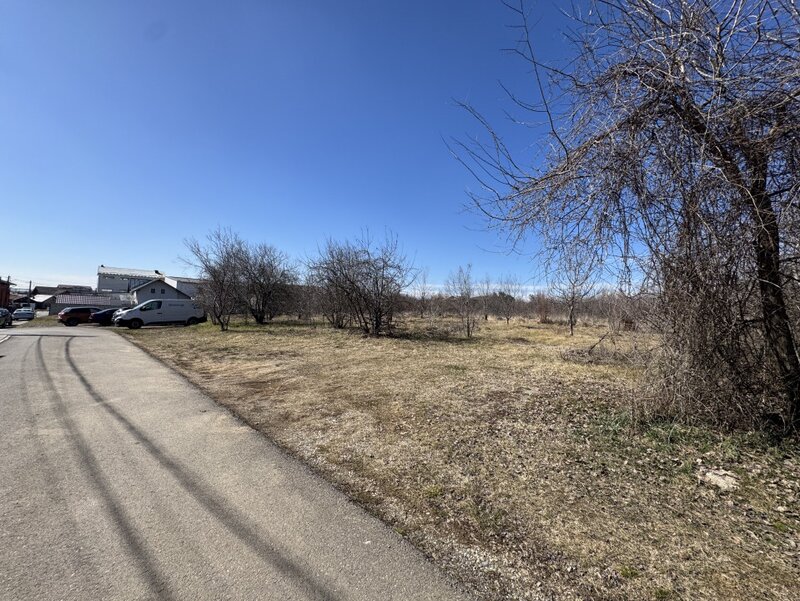 Paulesti, cel mai bun teren.