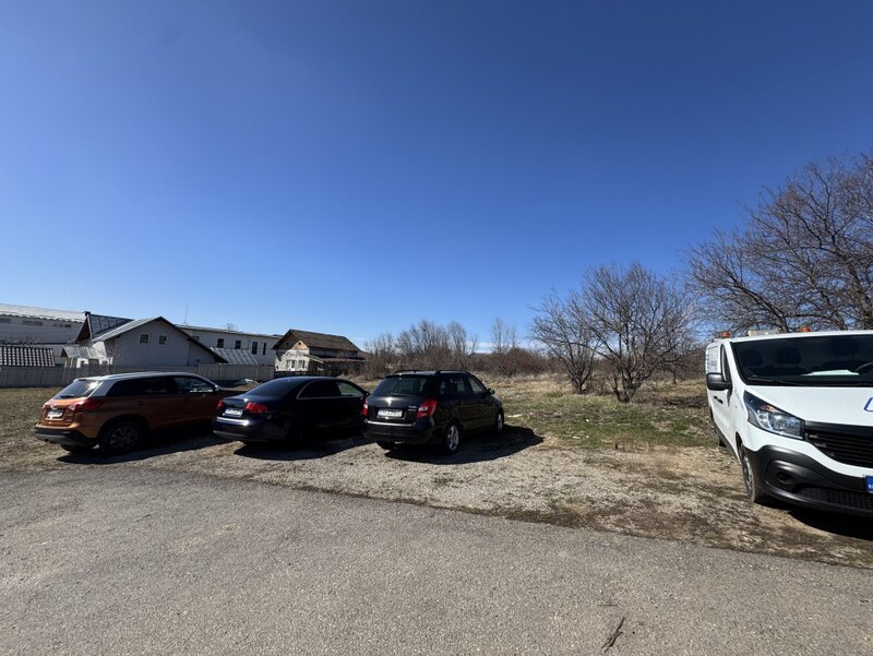 Paulesti, cel mai bun teren.