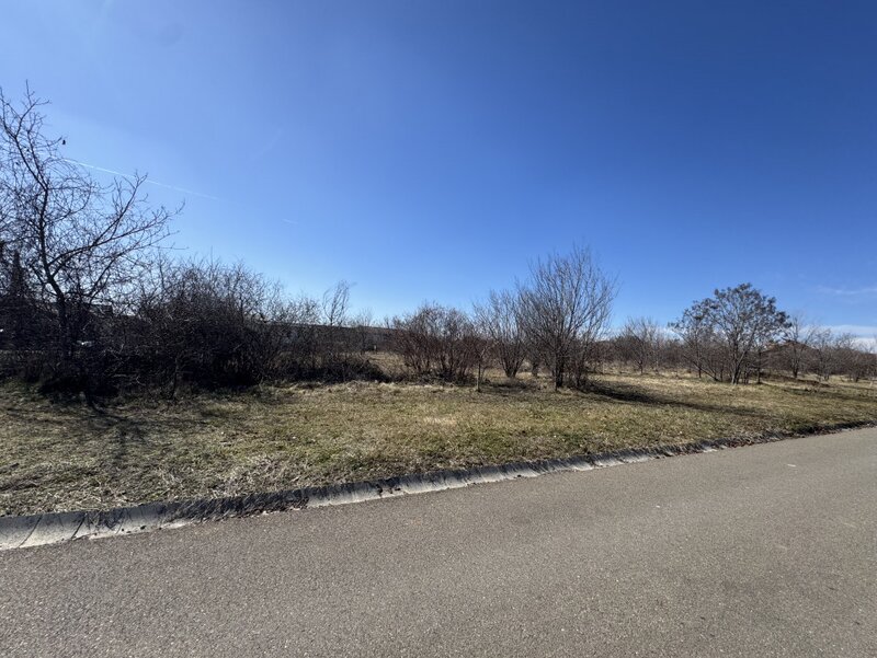 Paulesti, cel mai bun teren.