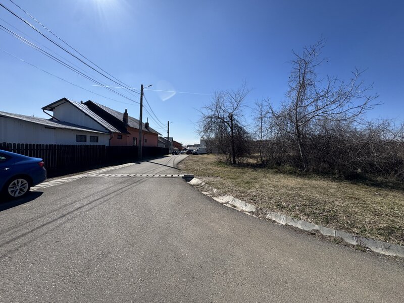 Paulesti, cel mai bun teren.