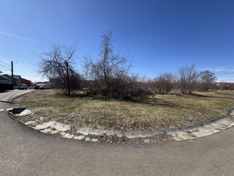 Paulesti, cel mai bun teren.