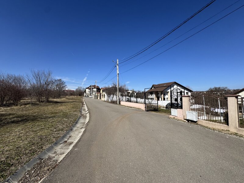 Paulesti, cel mai bun teren.